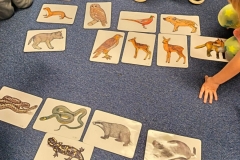 fdd2fbb5-7b7a-4d61-a6d2-42914063db5d